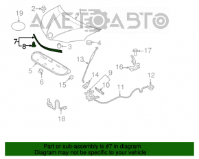 Garnitura capotei Toyota Sienna 11-20