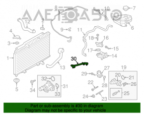 Furtunul de răcire superior Ford Fiesta 11-19 1.6