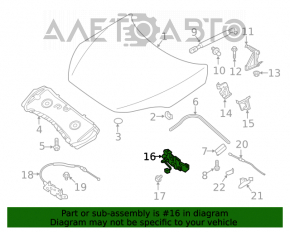 Capota de la Infiniti QX50 19-