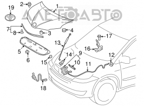 Suport de capot pentru Toyota Sienna 11-20