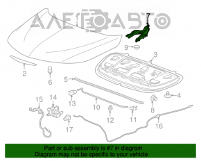 Bucla capotei dreapta Chevrolet Malibu 16-