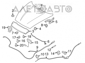 Capota dreapta a capotei Infiniti G25 G35 G37 4d 06-14