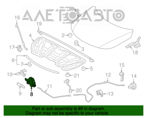 Capota de la Kia Sorento 10-15