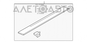 Capacul pragului exterior dreapta pentru Ford Mustang mk6 15- coupe, negru