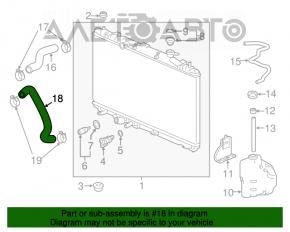 Патрубок охлаждения нижний Honda Accord 18-22 1.5T