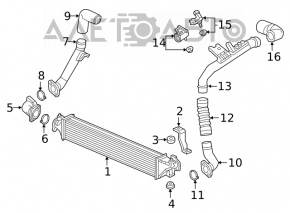 Furtunul intercoolerului stâng pentru Honda Civic X FC 16-21 1.5T, partea de jos.