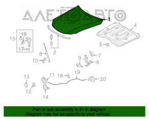 Capota goală Lexus IS250 IS350 06-13 albă 077