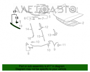 Moldura capotei frontale Toyota Avalon 05-12