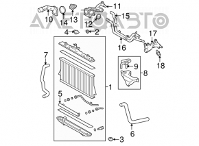 Патрубок охлаждения нижний Toyota Highlander 08-13 3.5 OEM