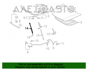 Amortizor capota dreapta Toyota Avalon 05-12