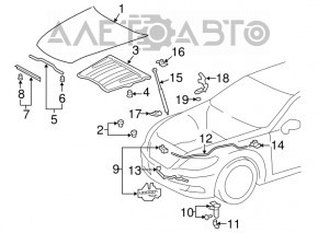 Трос открывания замка капота Lexus LS460 LS600h 07-12