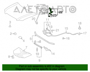 Buclă capotă stânga Lexus GX470 03-09