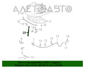 Amortizor capota Toyota Solara 2.4 04-08