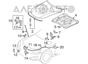 Петля капота левая Lexus IS250 IS300 IS350 06-13 новый OEM оригинал