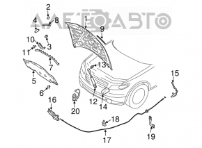 Amortizor capota dreapta Infiniti FX35 FX45 03-08 nou original OEM