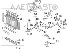 Furtunul de răcire inferior lung pentru Lexus GS300 GS350 06-11