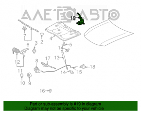 Bucla capotei dreapta Lexus GS300 GS350 GS430 GS450h 06-11