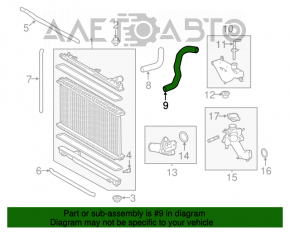 Furtunul de răcire inferior Lexus IS250 14-20