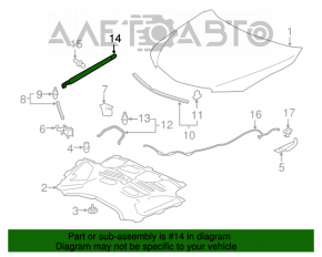 Amortizorul capotei Acura TLX 15-