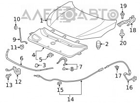 Петля капота левая Honda Civic X FC 16-21