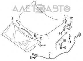 Петля капота правая Nissan Maxima A36 16- новый OEM оригинал