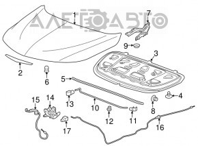 Clema capotei Chevrolet Malibu 16-