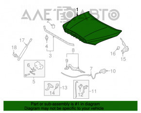 Capota goală Toyota Sequoia 08-16 grafit 1F9