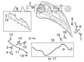 Izolarea capotei Ford C-max MK2 13-18 s-a desprins.