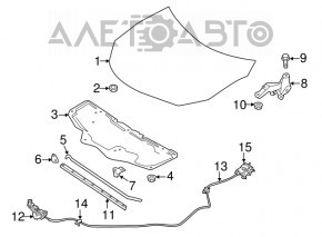 Capota goală Nissan Sentra 16-19 restilizată, argintie K23, rugina