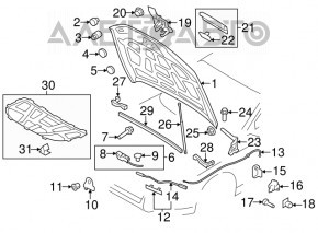 Garnitura capotei Audi A4 B8 08-16 față, suport rupt.