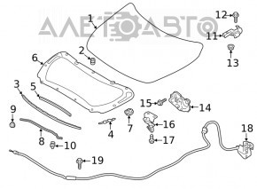 Capota goală Nissan Altima 19- nouă originală OEM