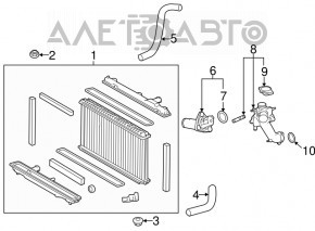 Capacul carcasei termostatului Lexus GS300 GS350 GS450h 06-11