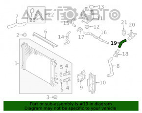 Furtun de răcire scurt superior Toyota Prius 50 16-