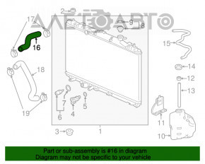 Патрубок охлаждения верхний Honda Accord 18-22 2.0T