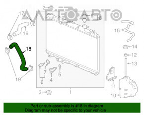 Патрубок охлаждения нижний Honda Accord 18-22 2.0T