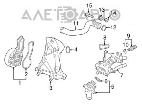 Furtunul pompei de apă pentru Honda CRV 17-19 2.4