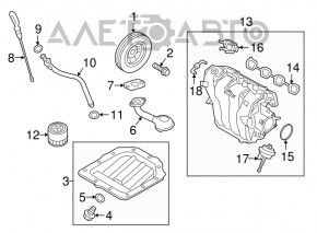 Polea arborelui cotit Hyundai Veloster 12-15 1.6