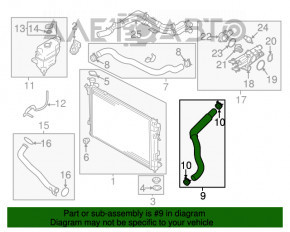 Патрубок охлаждения нижний Hyundai Santa FE Sport 13-16 2.4