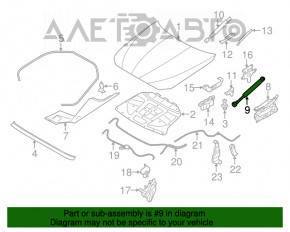 Amortizor capota dreapta BMW 5 F10 11-16