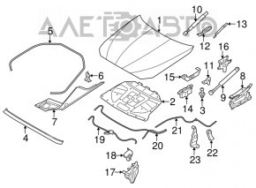 Garnitură aripă capotă - aripă dreapta BMW 5 F10 11-16 nou aftermarket