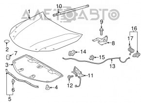 Bara de capotă stânga pe bara de protecție pentru Lexus ES300h ES350 13-18, nou, original OEM