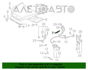 Уплотнитель крыла капот-крыло правый Lexus RX300 RX330 RX350 RX400H 04-09