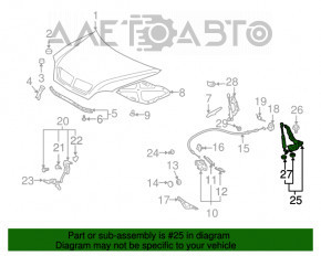 Bucla capotei dreapta Lexus RX300 RX330 RX350 RX400h 04-09