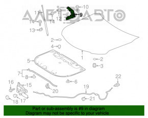 Bucla capotei dreapta Toyota Camry v70 18- nou TW neoriginal.