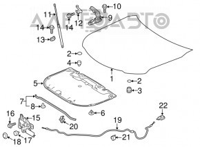 Петля капота правая Toyota Camry v70 18- новый OEM оригинал