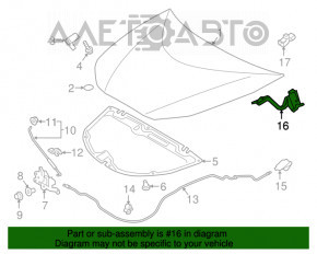 Bucla capotei dreapta Toyota Prius 50 16- nou TW neoriginal.