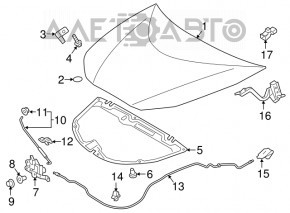 Bucla capotei dreapta Toyota Prius 50 16- nou TW neoriginal.