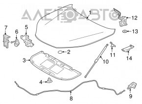 Bucla capotei stânga Lexus NX200t NX300 NX300h 15-21