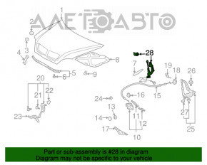 Amortizorul capotei Lexus RX300 RX330 RX350 RX400h 04-09