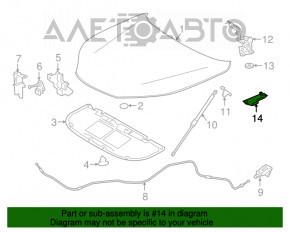 Capota cu balamale dreapta Lexus NX200t NX300 NX300h 15-21